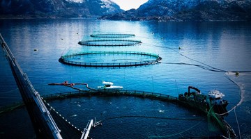 Aquaculture News